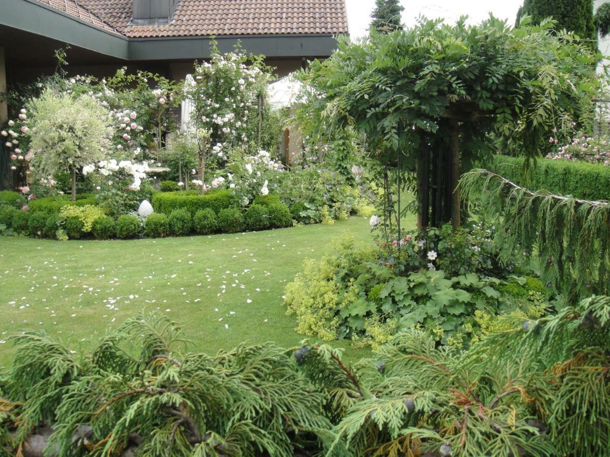 Charming And Cosy Near Lucerne Apartment Romerswil